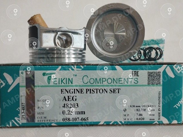 Поршень із пальцем +0.25мм (к-кт на двигун) AEG TEIKIN 48203-025